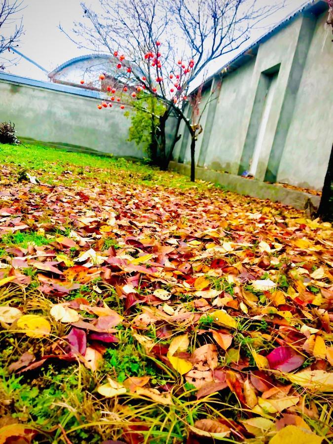 Emirest Villa Gabala Luaran gambar