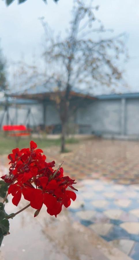 Emirest Villa Gabala Luaran gambar